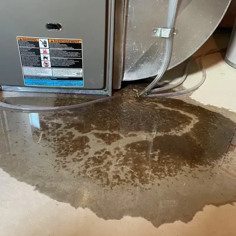 Appliance Leak Cleanup in Springfield, PA